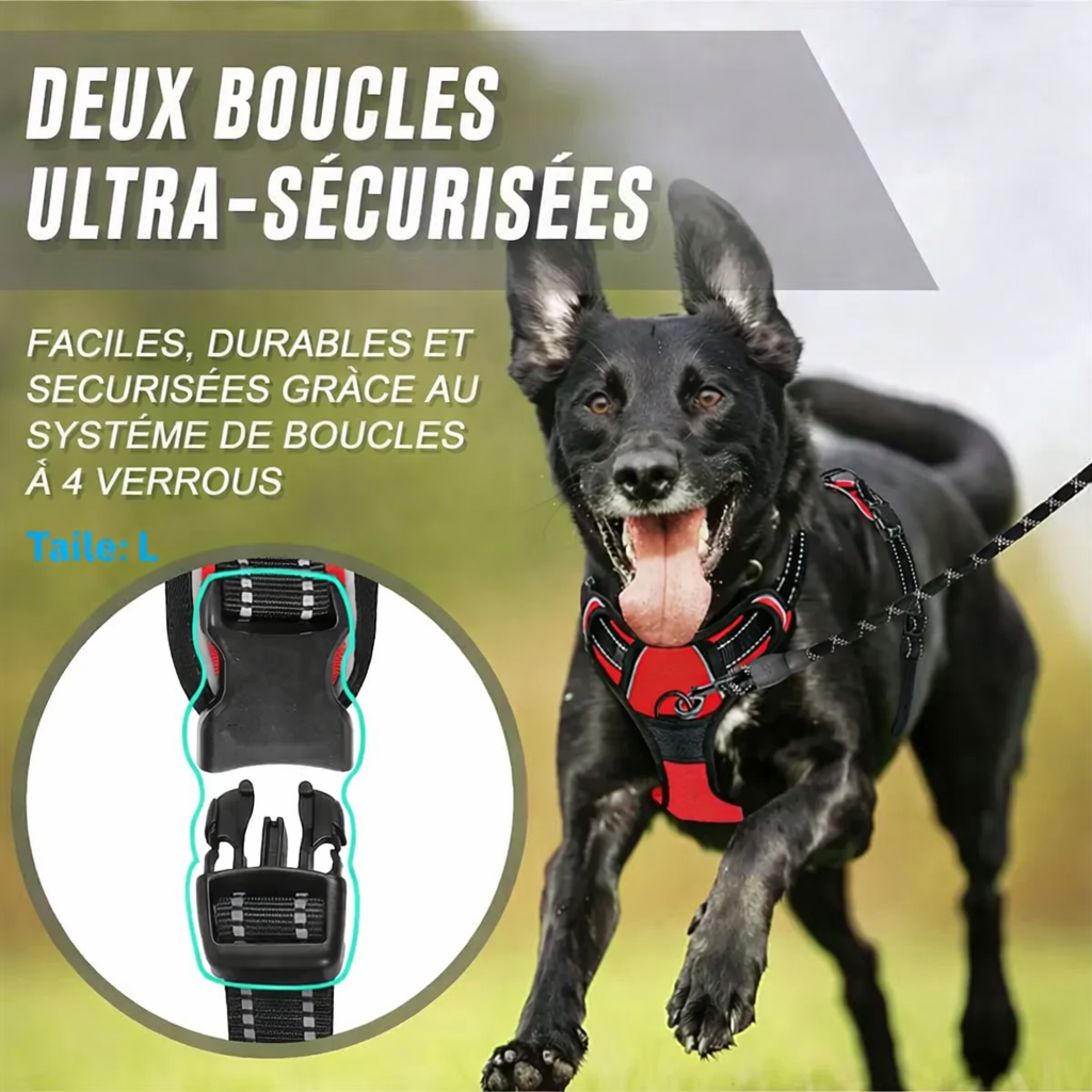 Hundegeschirr Anti-Zug Clip Front | Reflektierende Streifen | Strapazierfähiges Nylon S-XL