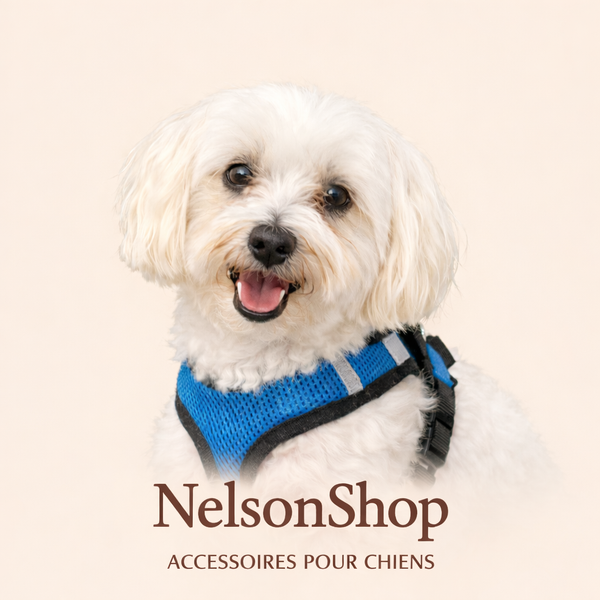 NelsonShop