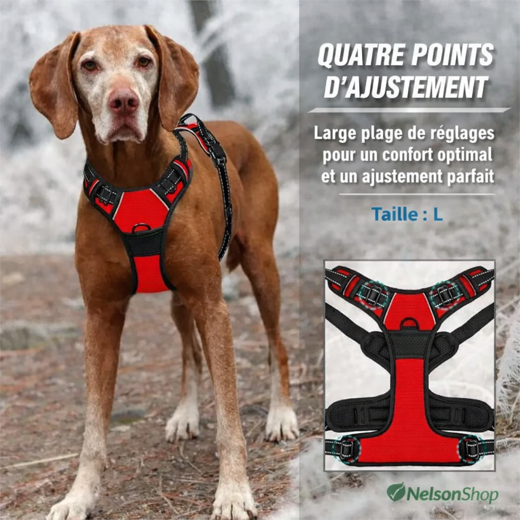 Hundegeschirr Anti-Zug Clip Front | Reflektierende Streifen | Strapazierfähiges Nylon S-XL