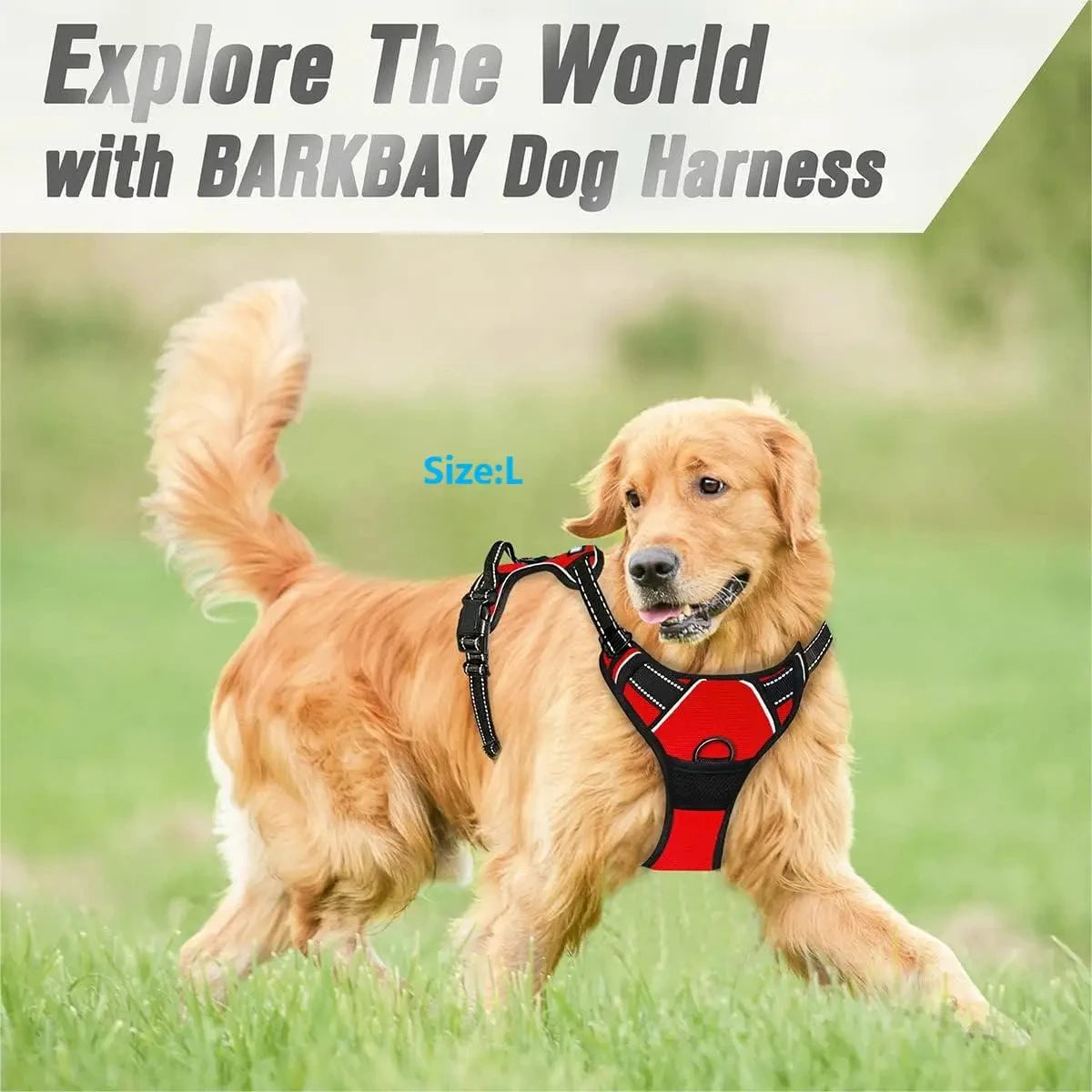 Harnais Anti-Traction pour Chien – Réfléchissant, Ajustable, Clip Frontal