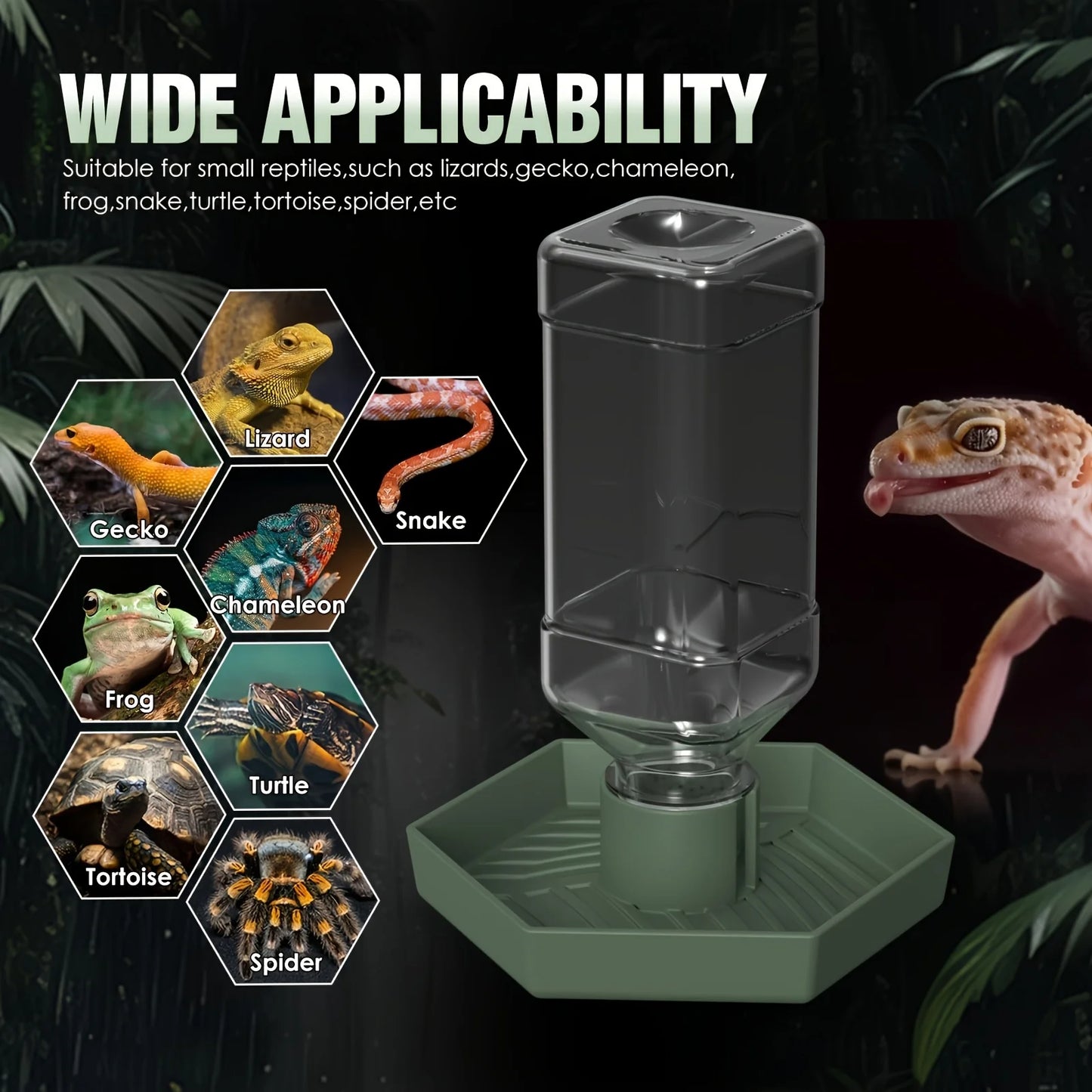 Abreuvoir Automatique pour Reptiles – Mangeoire pour Lézard, Gecko, Chaméléon, Grenouille, Serpent, Tortue