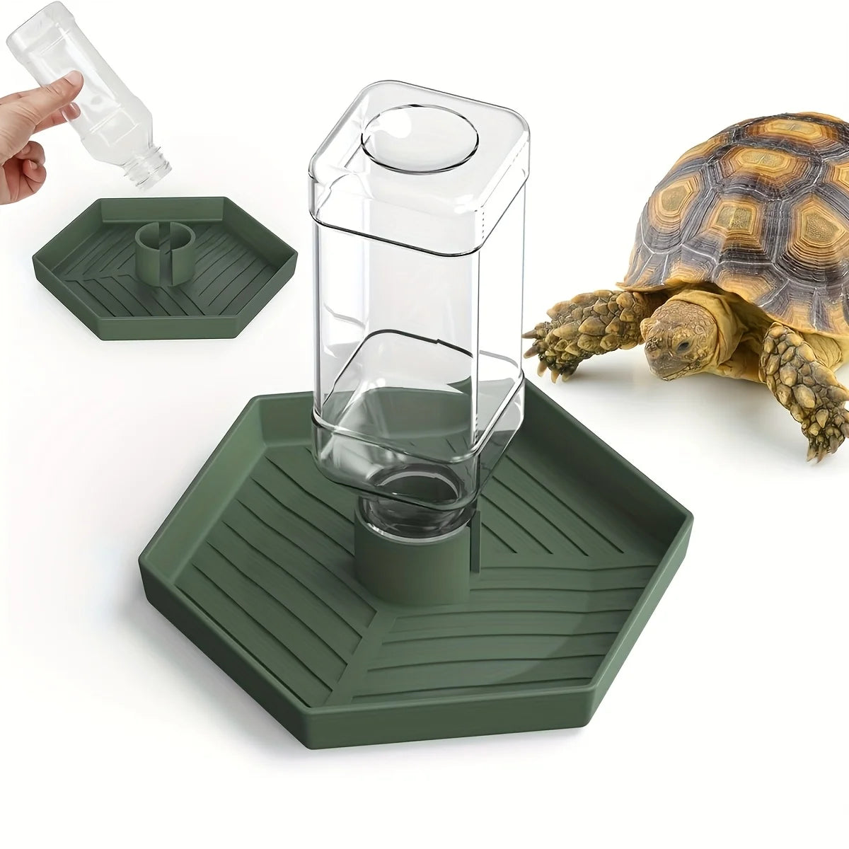 Abreuvoir Automatique pour Reptiles – Mangeoire pour Lézard, Gecko, Chaméléon, Grenouille, Serpent, Tortue
