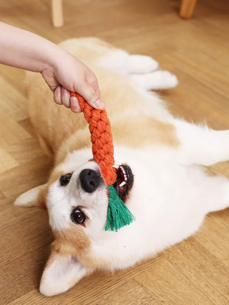 Jouet Carotte en Corde de Coton pour Chien & Chat – Nettoyage Dents & Anti-Ennui