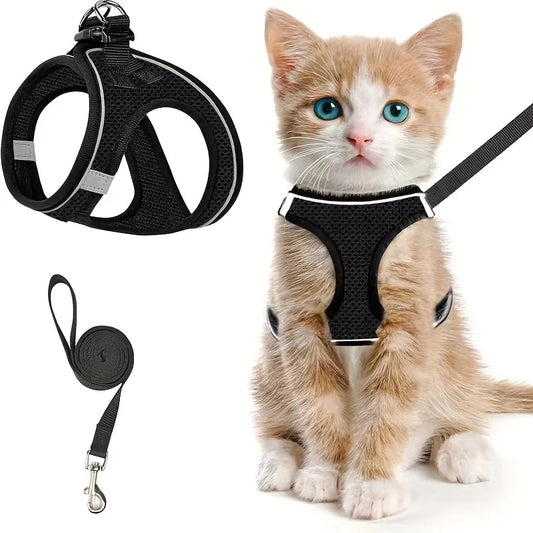 Harnais Anti-Fugue pour Chat – Gilet Mesh Réfléchissant avec Laisse pour Balades en Sécurité