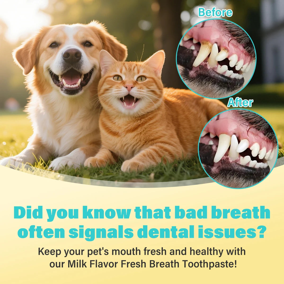 Kit Dentaire pour Chien & Chat – Dentifrice Lait + Brosse à Dents Hygiène Bucco-Dentaire