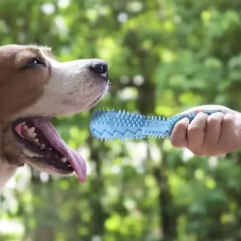 Jouet à Mâcher TPR pour Chien – Brosse à Dents & Nettoyage Dentaire Interactif