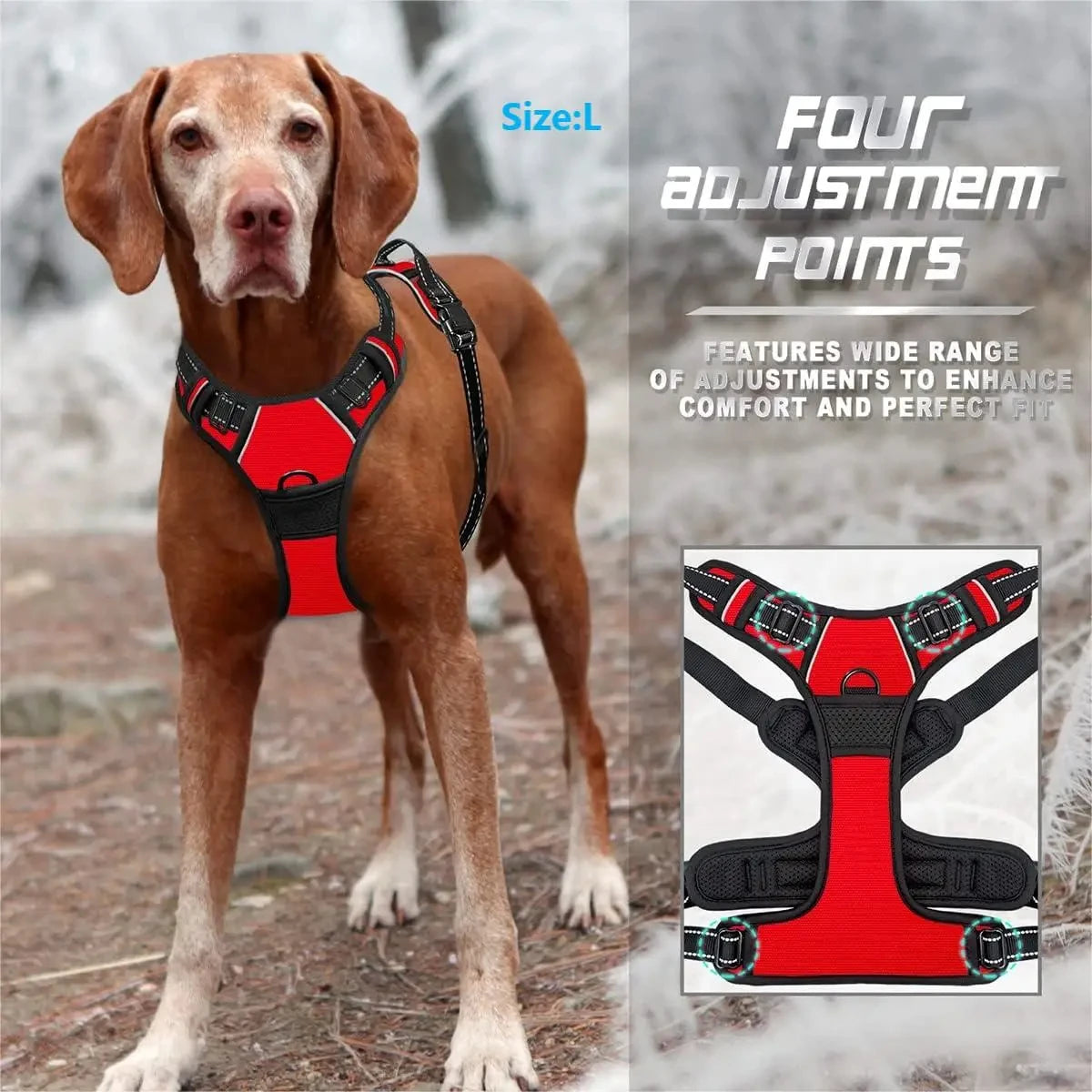 Harnais Anti-Traction pour Chien – Réfléchissant, Ajustable, Clip Frontal