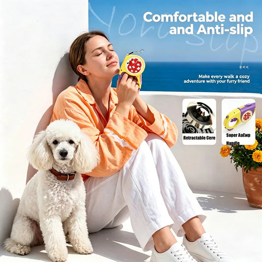 Laisse rétractable pour chien 5M - NelsonShop