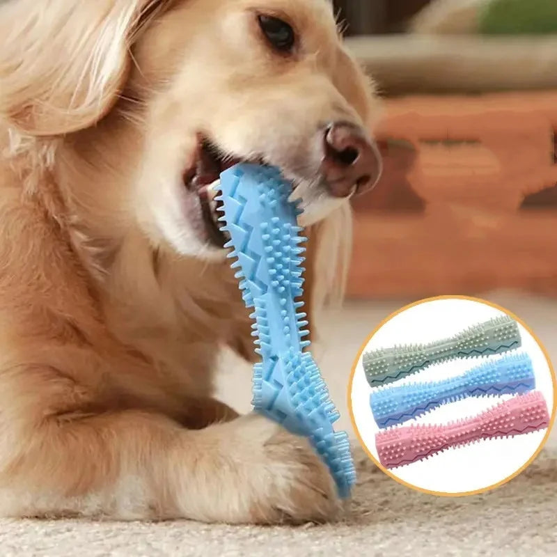 Jouet à Mâcher TPR pour Chien – Brosse à Dents & Nettoyage Dentaire Interactif