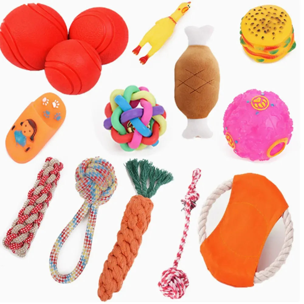 Set de Jouets pour Chien – Frisbee, Balle, Corde & Carotte à Mâcher Anti-Ennui