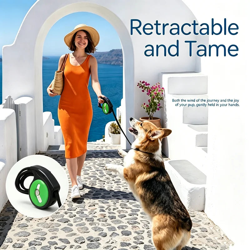 Laisse rétractable pour chien 5M - motif dessin animé