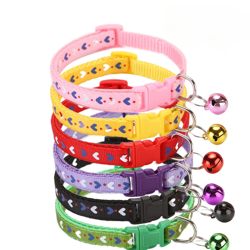Collier chaton coloris disponibles