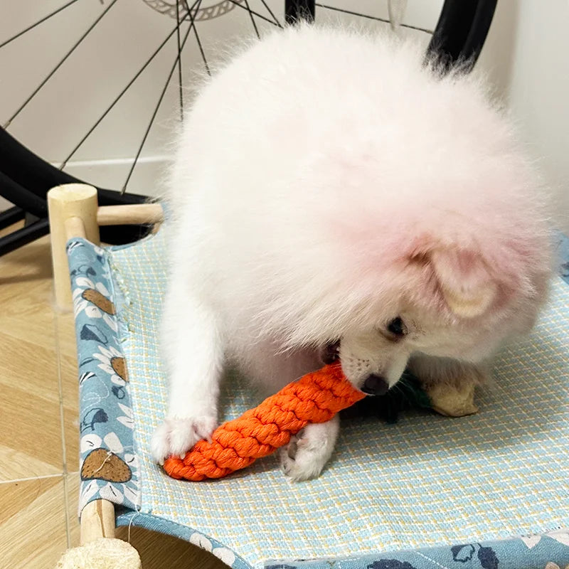 Jouet Carotte en Corde de Coton pour Chien & Chat – Nettoyage Dents & Anti-Ennui