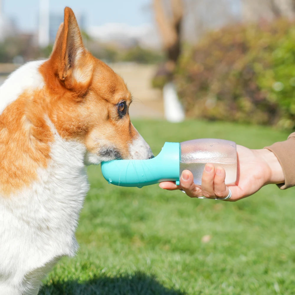 Gourde Portable pour Chien 300ml – Gamelle de Voyage pour Chiot, Chat & Chien