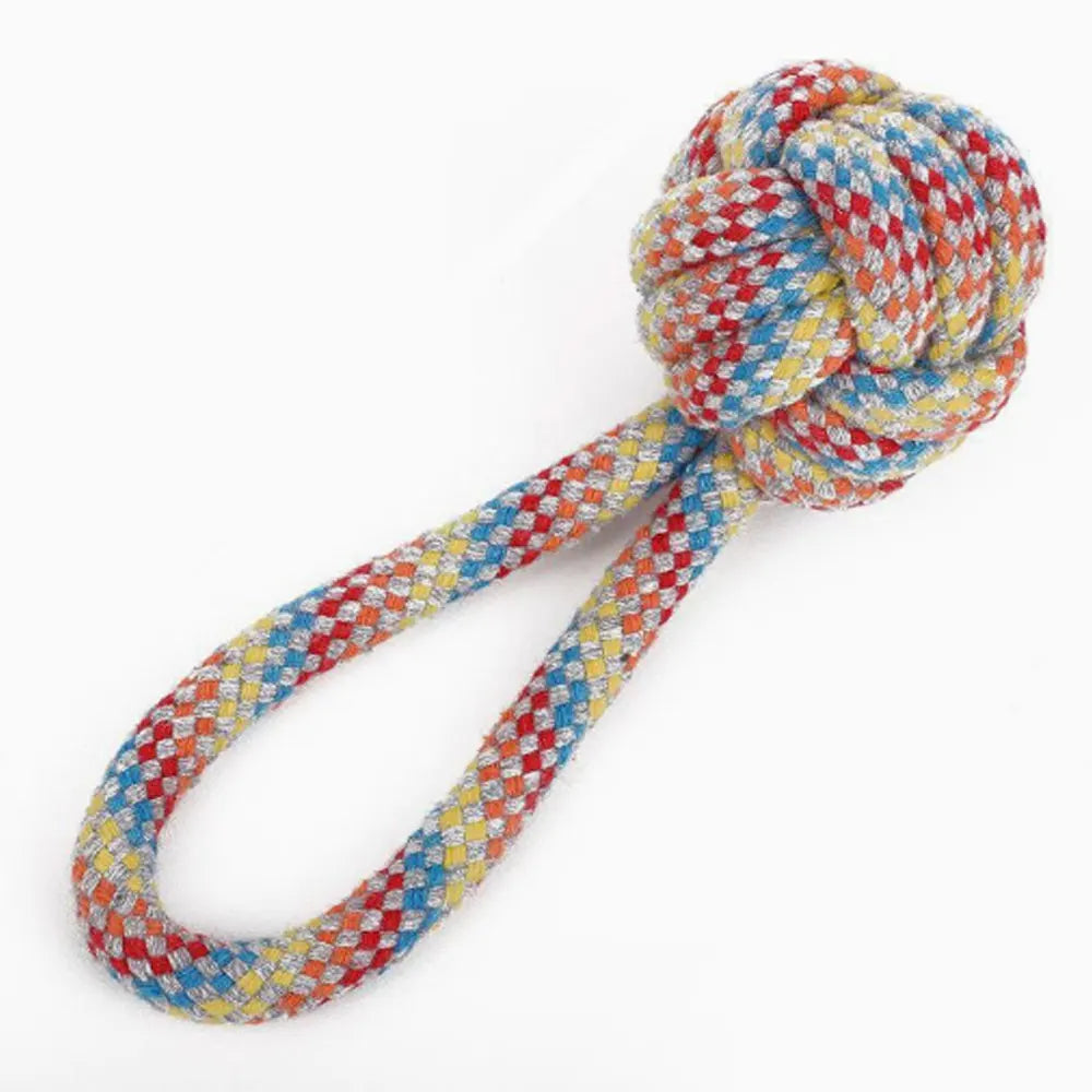 Set de Jouets pour Chien – Frisbee, Balle, Corde & Carotte à Mâcher Anti-Ennui