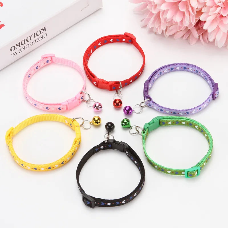 Collier chaton avec grelot