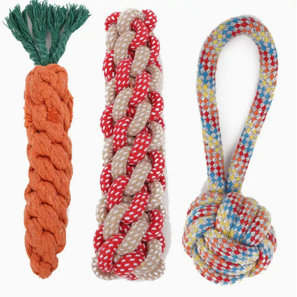 Set de Jouets pour Chien – Frisbee, Balle, Corde & Carotte à Mâcher Anti-Ennui