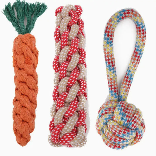 Set de Jouets pour Chien – Frisbee, Balle, Corde & Carotte à Mâcher Anti-Ennui