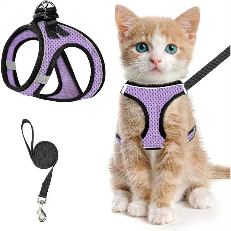 Harnais Anti-Fugue pour Chat – Gilet Mesh Réfléchissant avec Laisse pour Balades en Sécurité