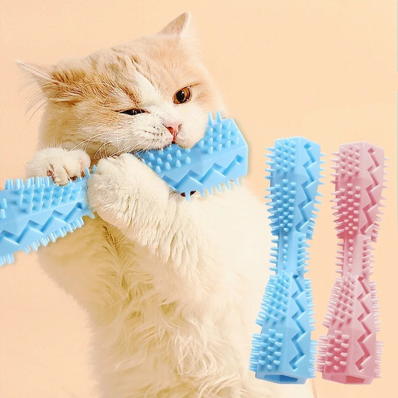 Jouet à Mâcher TPR pour Chien – Brosse à Dents & Nettoyage Dentaire Interactif