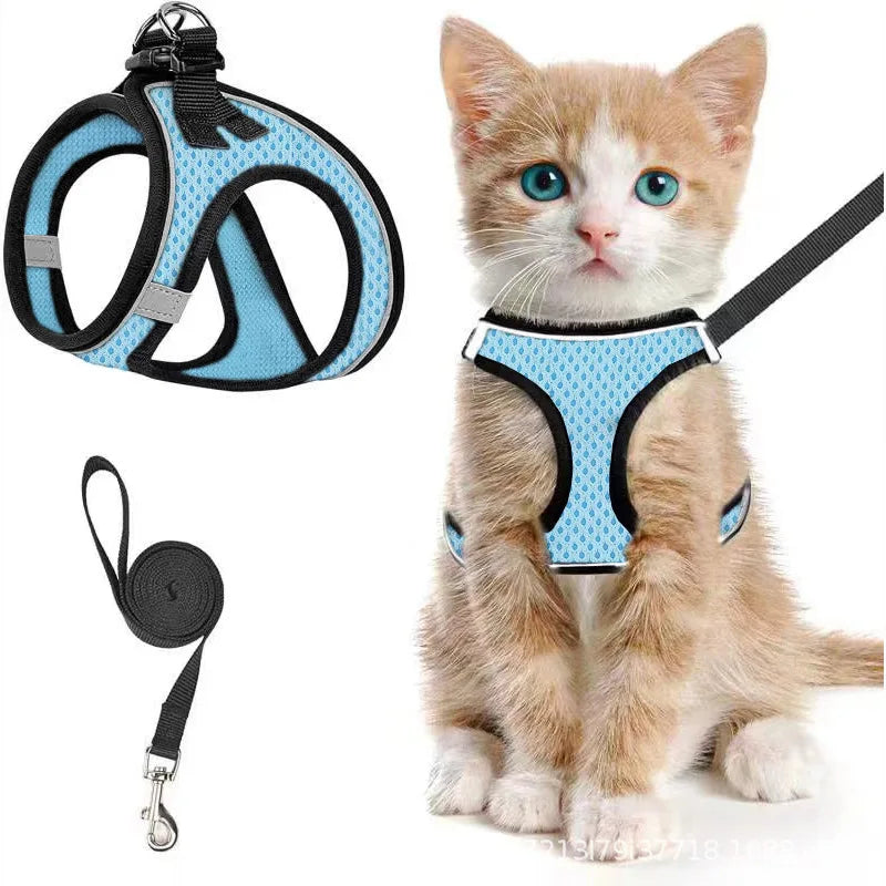 Harnais Anti-Fugue pour Chat – Gilet Mesh Réfléchissant avec Laisse pour Balades en Sécurité