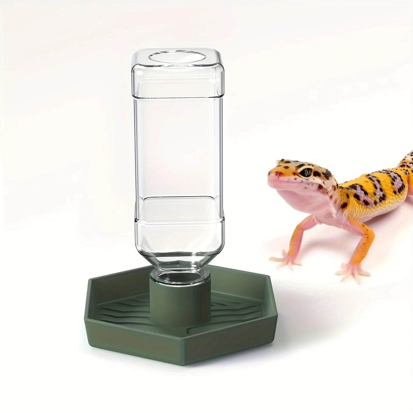 Abreuvoir Automatique pour Reptiles – Mangeoire pour Lézard, Gecko, Chaméléon, Grenouille, Serpent, Tortue