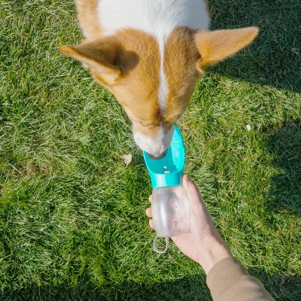 Gourde Portable pour Chien 300ml – Gamelle de Voyage pour Chiot, Chat & Chien