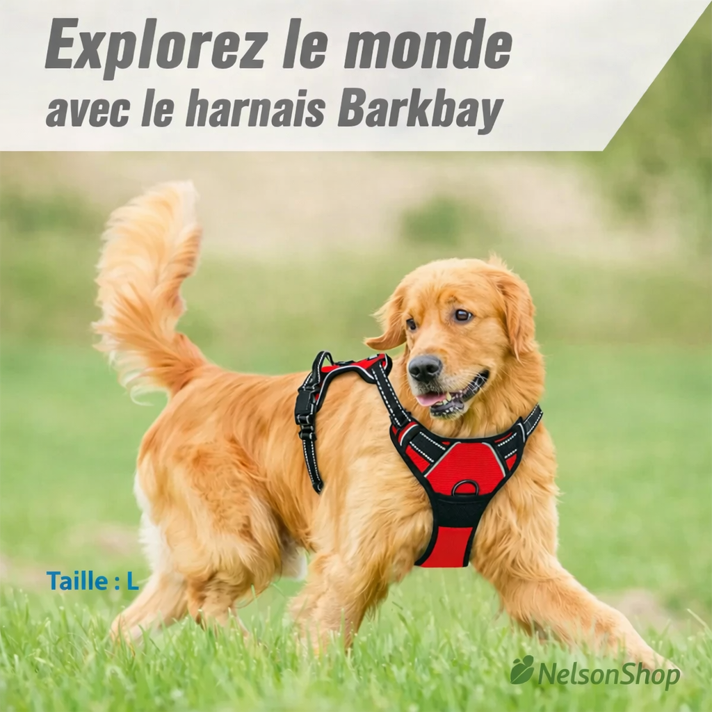 Hundegeschirr Anti-Zug Clip Front | Reflektierende Streifen | Strapazierfähiges Nylon S-XL